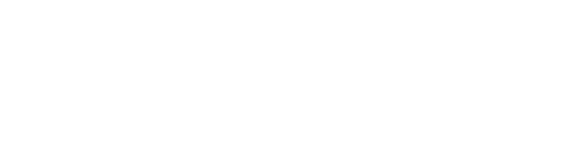 spatial_inline_white_on_trans